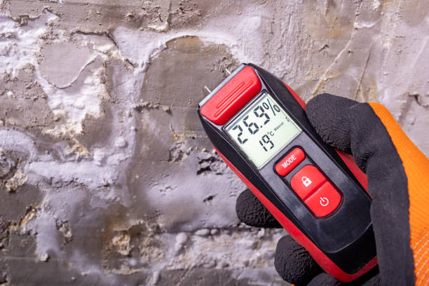 Best Post-Flood Mold Remediation in Roaring Spring, PA